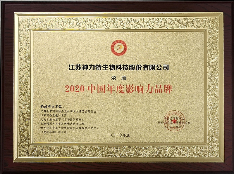 6、2020中國(guó)年度影響力品牌.jpg